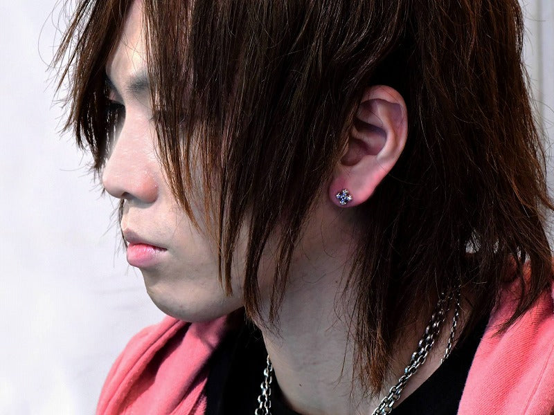 インセクトプラススタッズ