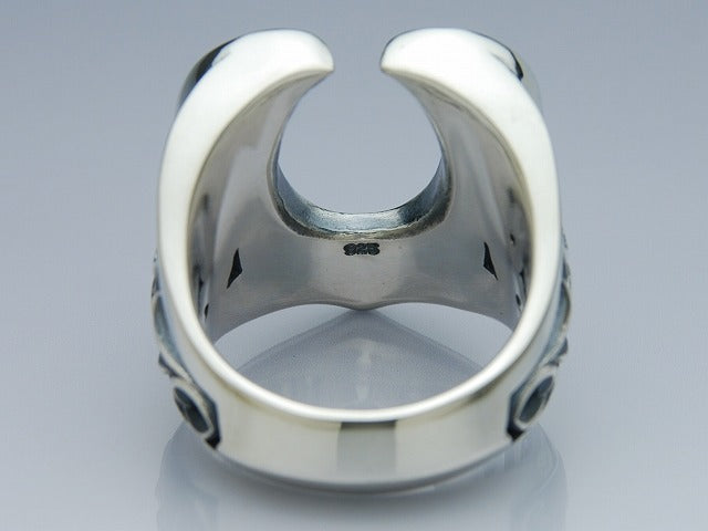 ストリームホースシューリング