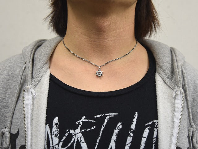 ヘックススター:DS