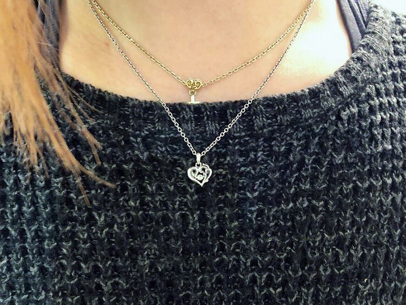 タイニーブレイズハート:DS