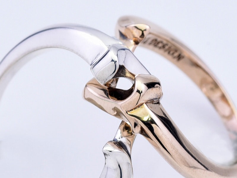 レイジングギメルリング