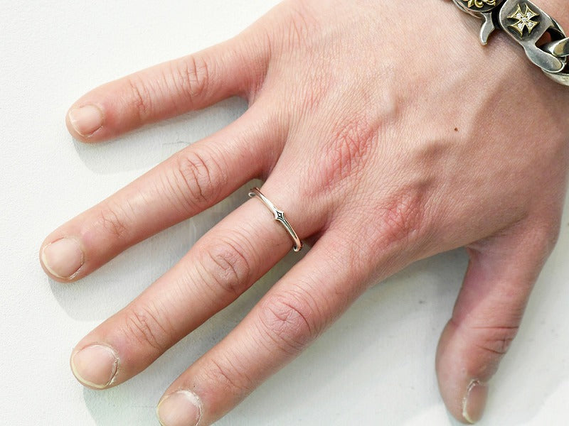 スペースファングリング