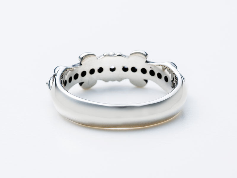 フラッシュロッドリング