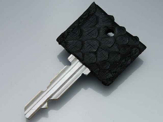 スネイキッドキーカバー (SV925)