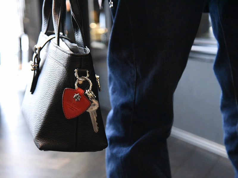 マルチピックキーホルダー